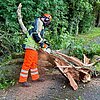 FW Hünxe: Baum blockiert Fahrbahn