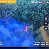 FW-PL: Ortsteil Tanneneck - Waldbrand fordert viele Einsatzkräfte