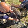 FW Meerbusch: Person in Sumpf eingesunken