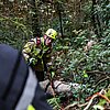 FW-MK: Feuerwehr rettet Golden Retriever aus Steilhang im Iserlohner Stadtwald