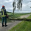 FW Ense: Baum auf Fahrbahn
