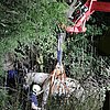 FW Lage: Pferd aus Bachlauf gerettet - aufwändiger Tierrettungseinsatz in Oetternbach
