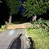 FW Hünxe: Baum blockierte Fahrbahn