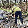 FW Alpen: Umgestürzter Baum verursacht Verkehrsunfall