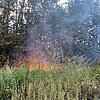 FW-DO: Vegetationsbrand im Bereich der Brackeler Straße