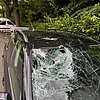 FW-DT: Baum auf Fahrbahn - Windschutzscheibe getroffen
