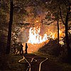 FW-E: Großer Holzstapel geht in Flammen auf - Feuerwehr verhindert Ausbreitung auf angrenzenden Wald