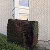FW-DT: *Korrektur* Brennende Hecke - Anwohner verhindern Schlimmeres