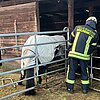 FW-MH: Tier in Notlage - Technische Hilfeleistung durch die Feuerwehr
