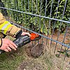 FW Alpen: Igel aus misslicher Lage befreit