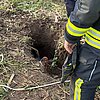 FW Beverungen: Schaf in Notlage / Feuerwehr Beverungen rettet Tier aus rund drei Meter tiefem Loch