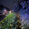 FW Alpen: Baum auf Fahrbahn