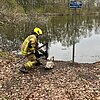 FW Paderborn: Feuerwehr Paderborn rettet Schwan aus Gleisbereich - Lebensgefahr oft unterschätzt.