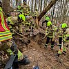 FW Wachtberg: Feuerwehr Wachtberg befreit Hund aus Fuchsbau in einem Waldstück bei Wachtberg-Villip