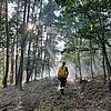 FW Nideggen: Waldbrand im Nationalpark bei Schmidt