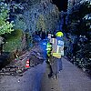 FW-DT: Kleinbrand an einer Gartenhütte