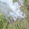 FW Kreis Soest: Waldbrand am Möhnesee - aktuell rund 300 Einsatzkräfte vor Ort
