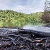 FW Königswinter: 400 m² Vegetation brennen im Naturschutzgebiet Eudenberg