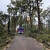 FFW Schwalmtal: Umgestürzter Baum auf dem Harikseeweg
