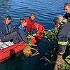 FW-DO: Feuerwehr rettet jungen Rehbock aus dem Kanal