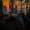 FW Kreis Soest: Waldbrand bei Möhnesee: 130 Einsatzkräfte kämpfen weiter gegen die Flammen