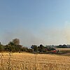 FW-BN: Ausgedehnter Flächenbrand in Bonn Dransdorf