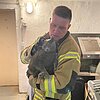 FW-DT: Katze aus Mauerwerk befreit