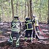 FW Bocholt: Waldbrand in Bocholt - Barlo