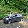FW-EN: Massiver Baum stürze auf fahrenden Pkw - Zwei Verletzte bei Unfall in Herdecke - Großes Glück für Insassen
