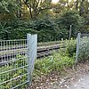 FW Paderborn: Feuerwehr rettet sieben Schwäne von Bahngleisen