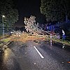 FW Hünxe: Baum blockiert Dinslakener Straße