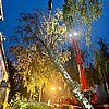 FW-DO: Sturmtiefs "Luise" und "Manja": 168 wetterbedingte Einsätze seit Freitag / Baum auf Mehrfamilienhaus in Körne