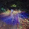 FW-KLE: Herbststurm sorgt für mehrere Feuerwehreinsätze in Bedburg-Hau
