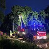 FW Hünxe: Funkenbildung durch Ast auf Stromleitung