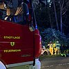 FW Lage: Einsatz nach gemeldetem Alleinunfall auf der Soorenheider Straße