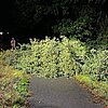 FW Hünxe: Baum blockiert Radweg